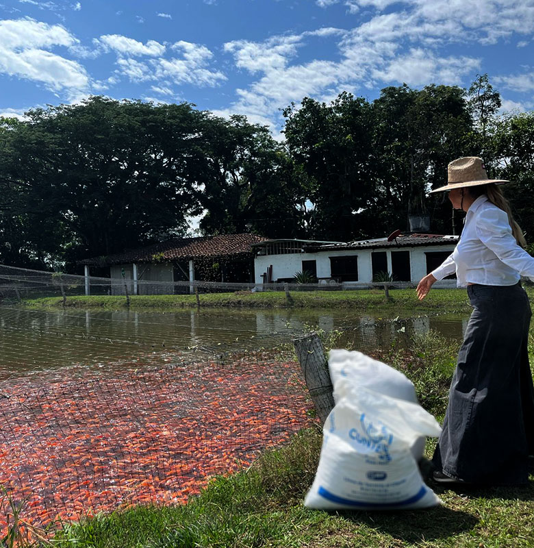 manantial del valle